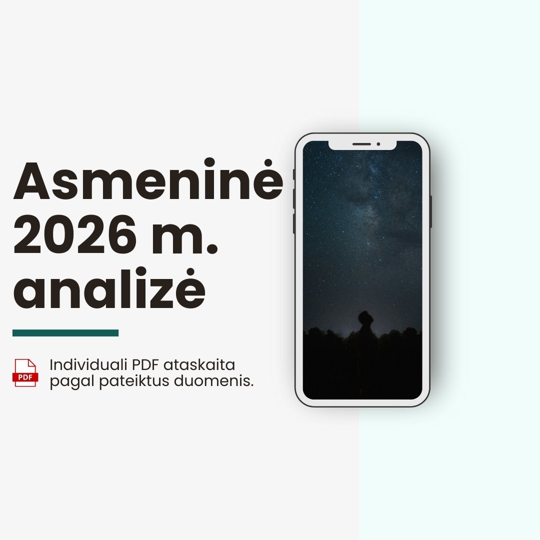 Asmeninė metų analizė